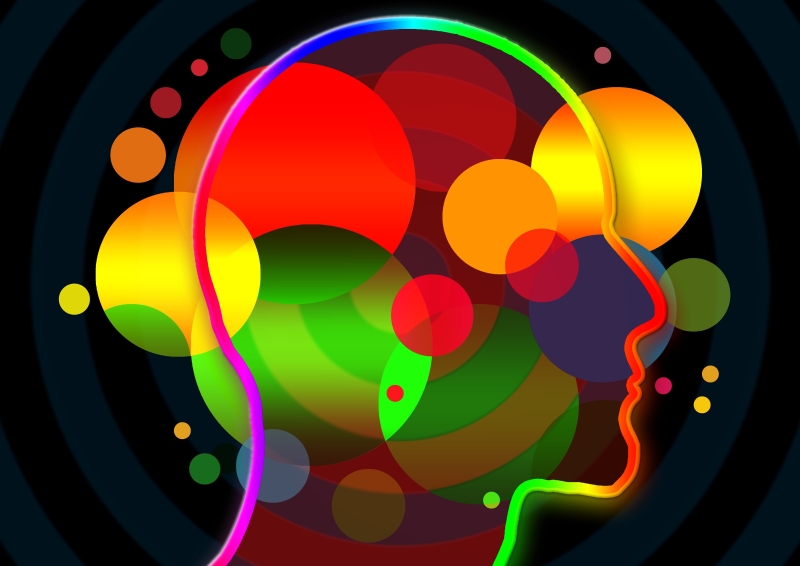 Personality | Image Source: Pixabay by geralt